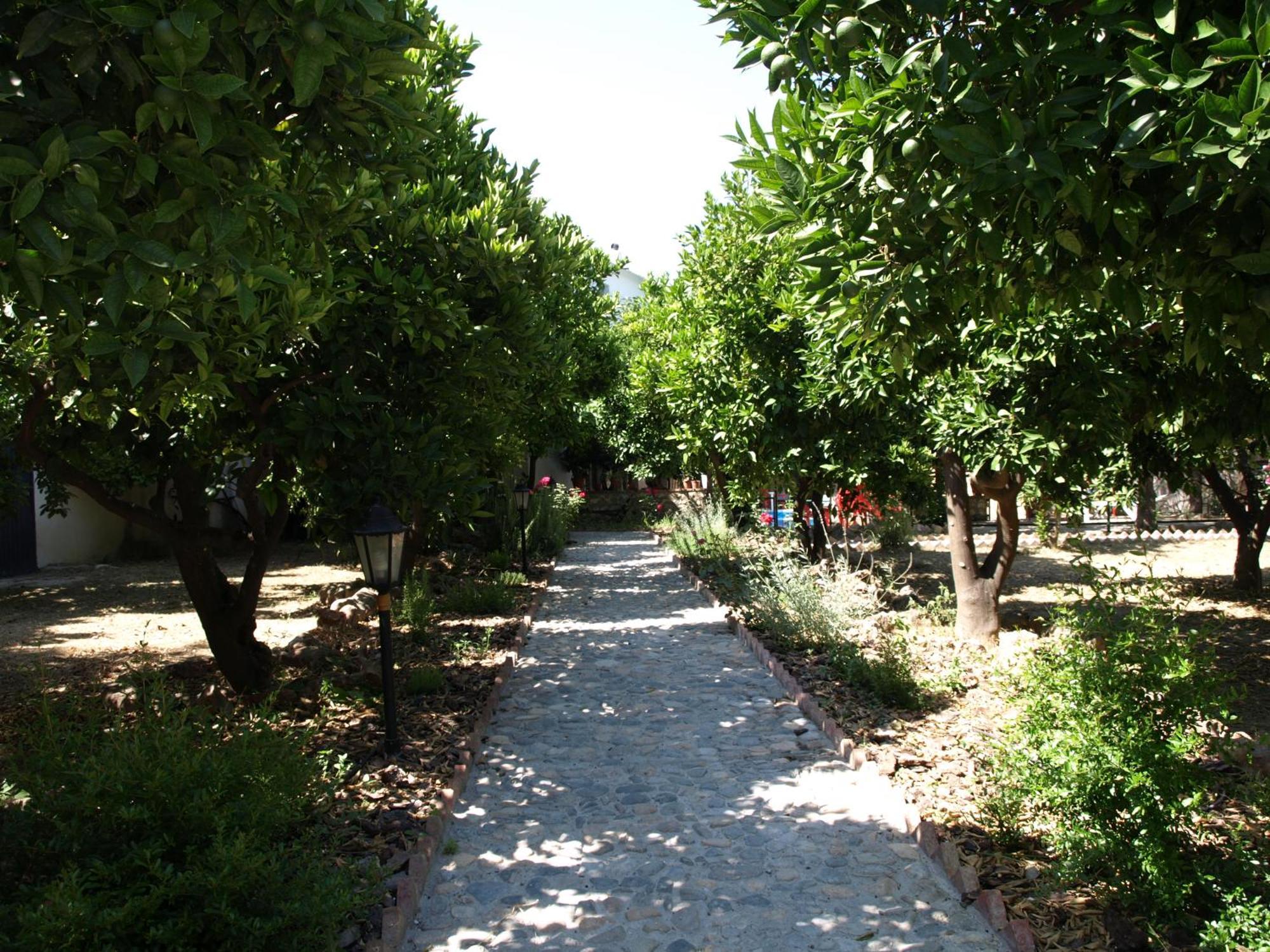 La Despensa del Valle Restábal Esterno foto